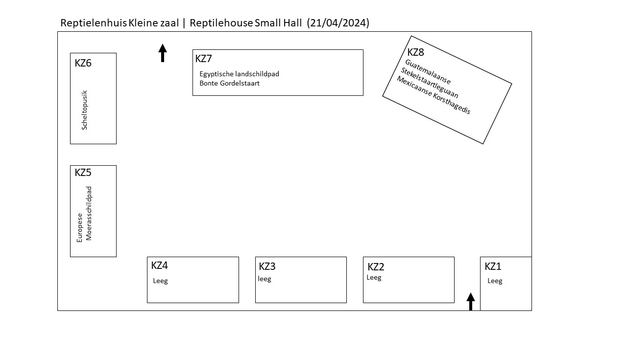 Reptielenhuis Kleine Zaal | Reptile House Small Hall (21/04/2024)
