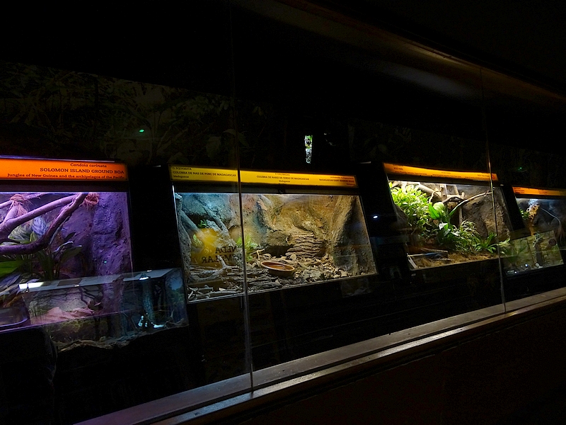 Reptielenhuis - Smaller terraria