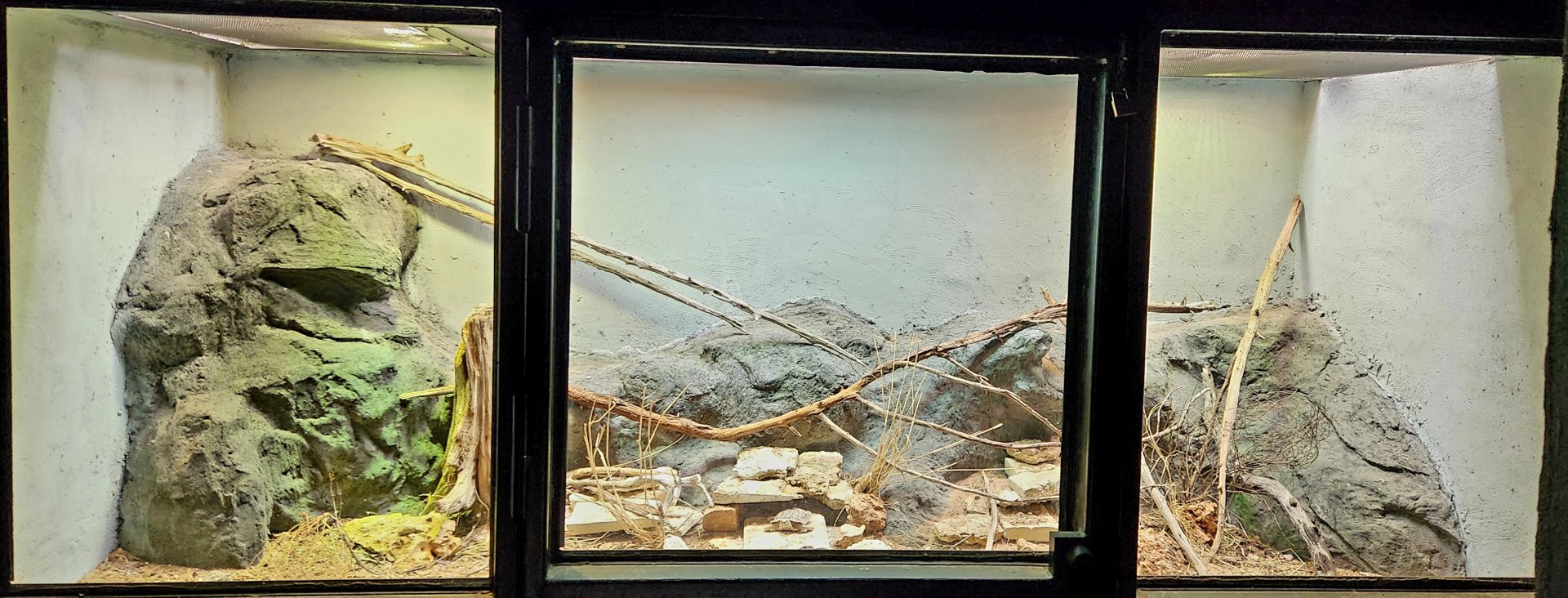 Reptilandia Reptile Lagoon - African Kopje Exhibit