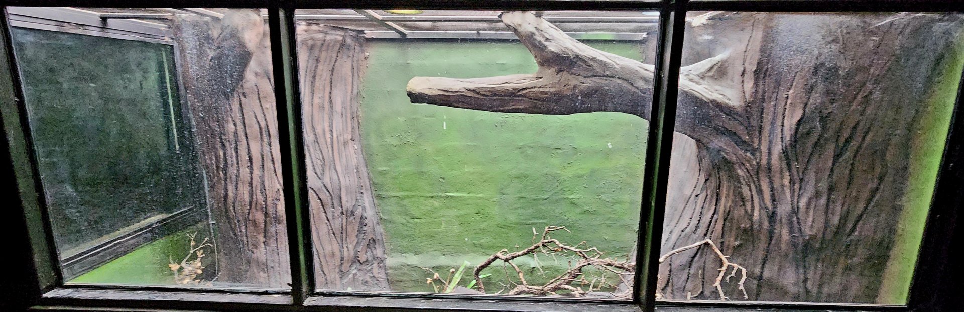 Reptilandia Reptile Lagoon - Amazon Rainforest Exhibit