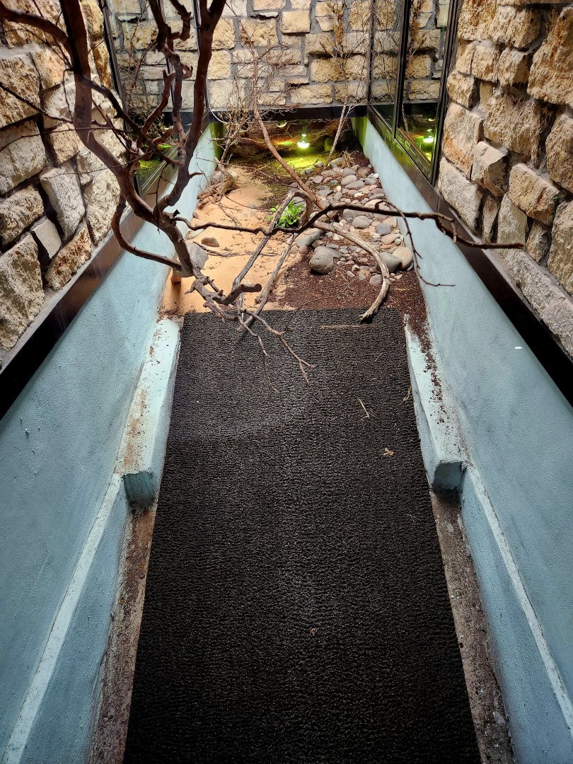 Reptilandia Reptile Lagoon - Carettochelys River