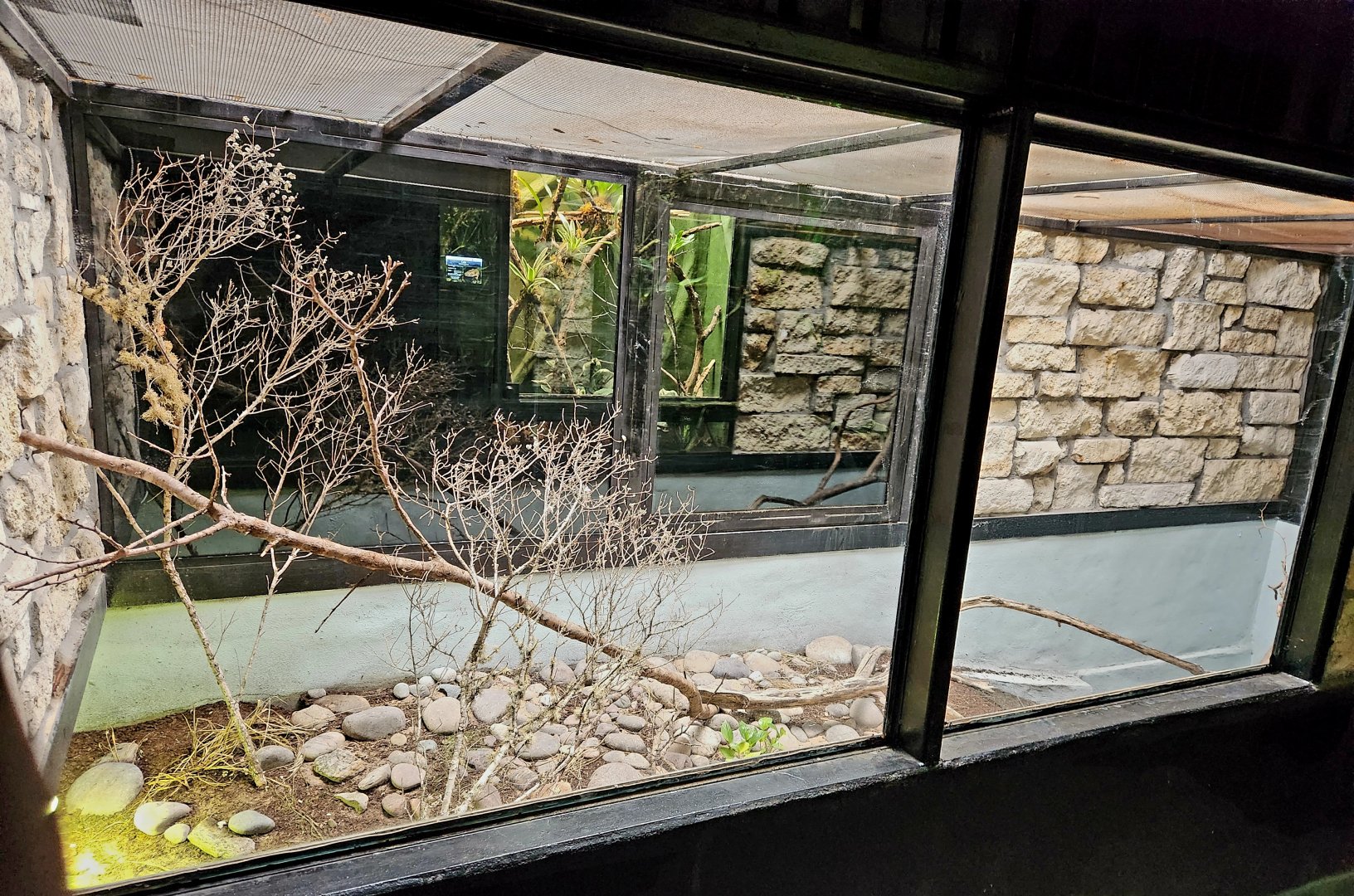 Reptilandia Reptile Lagoon - Carettochelys River