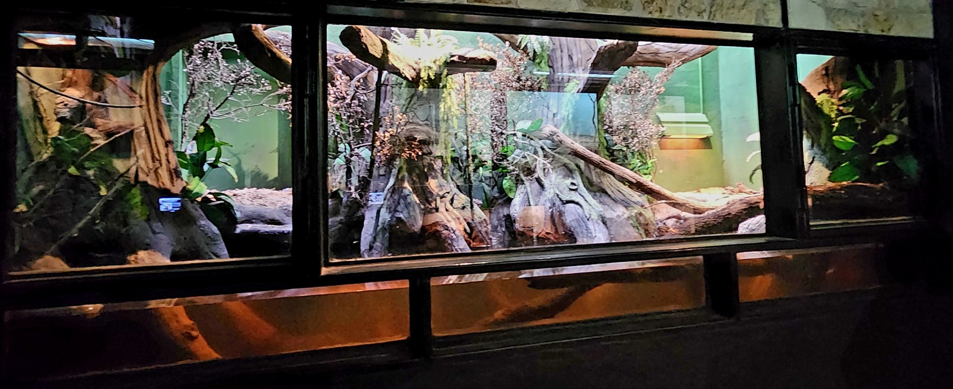 Reptilandia Reptile Lagoon - Central African Exhibit