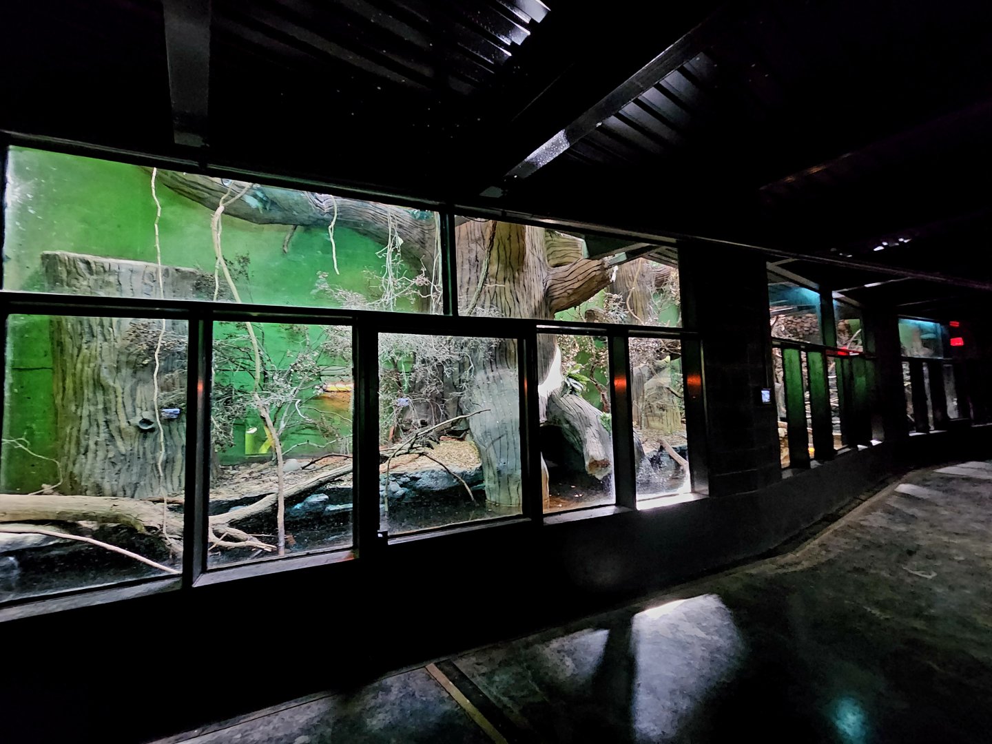 Reptilandia Reptile Lagoon - Crocodile Monitor Exhibit