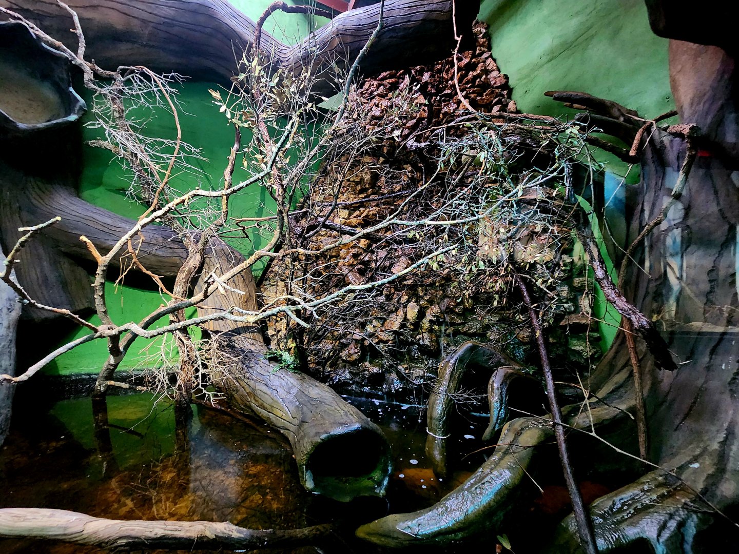 Reptilandia Reptile Lagoon - Crocodile Monitor Exhibit