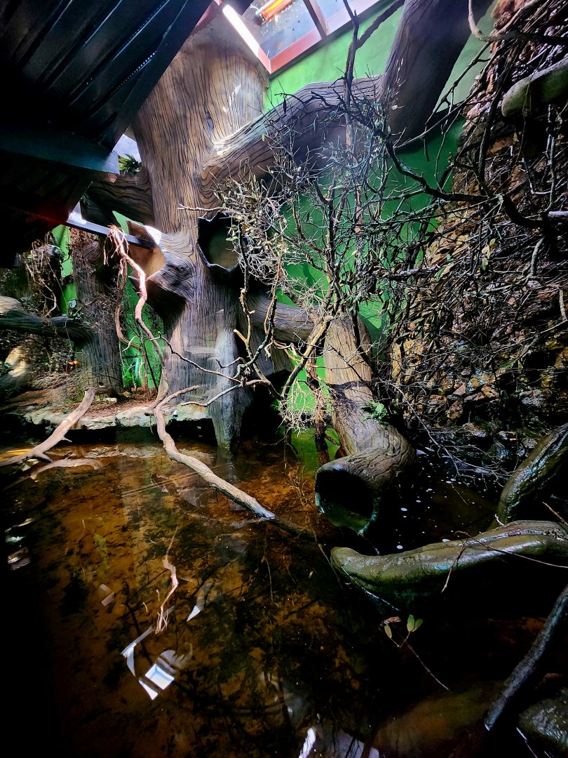 Reptilandia Reptile Lagoon - Crocodile Monitor Exhibit