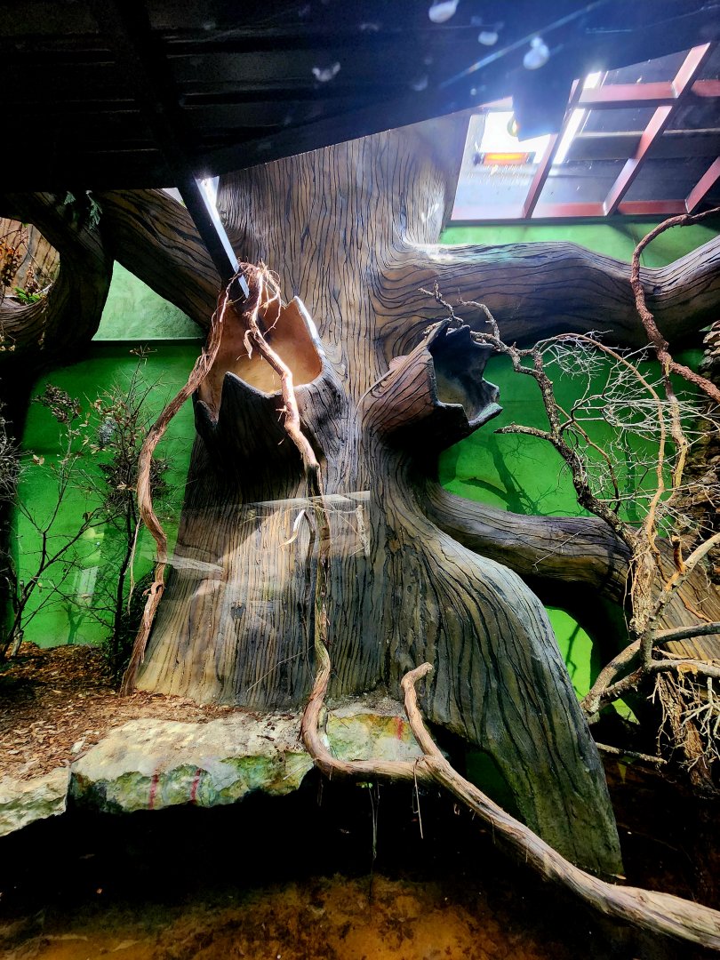 Reptilandia Reptile Lagoon - Crocodile Monitor Exhibit