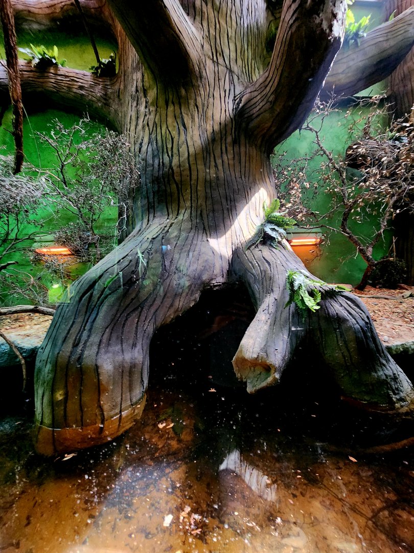 Reptilandia Reptile Lagoon - Crocodile Monitor Exhibit