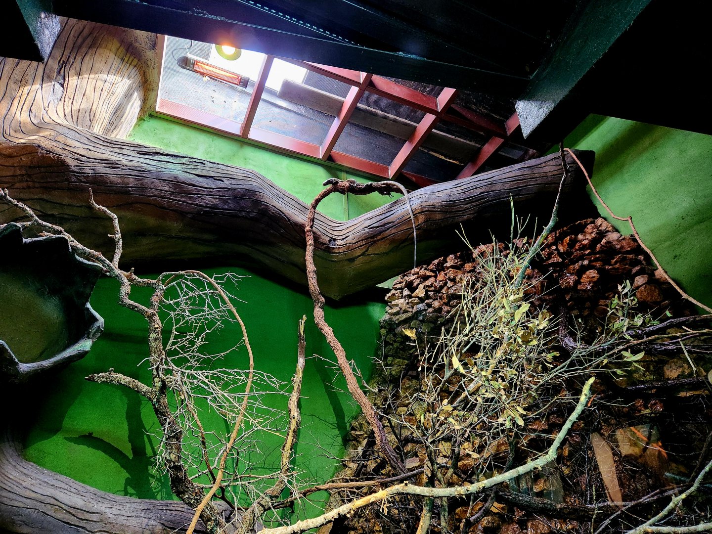 Reptilandia Reptile Lagoon - Crocodile Monitor Exhibit