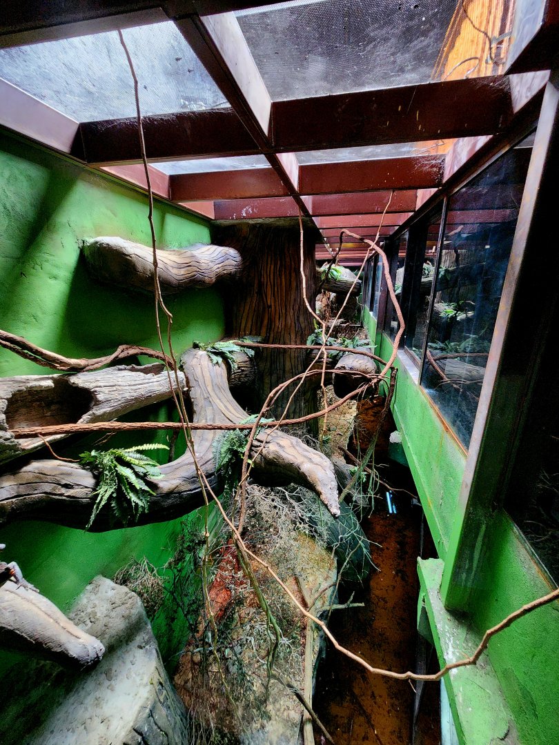 Reptilandia Reptile Lagoon - Crocodile Monitor Kingdom