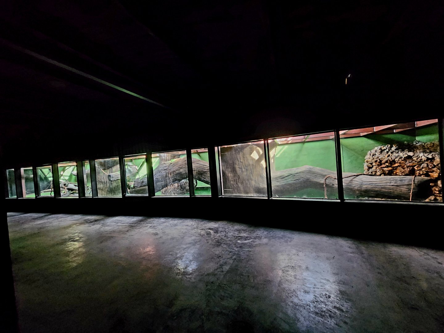 Reptilandia Reptile Lagoon - Crocodile Monitor Kingdom