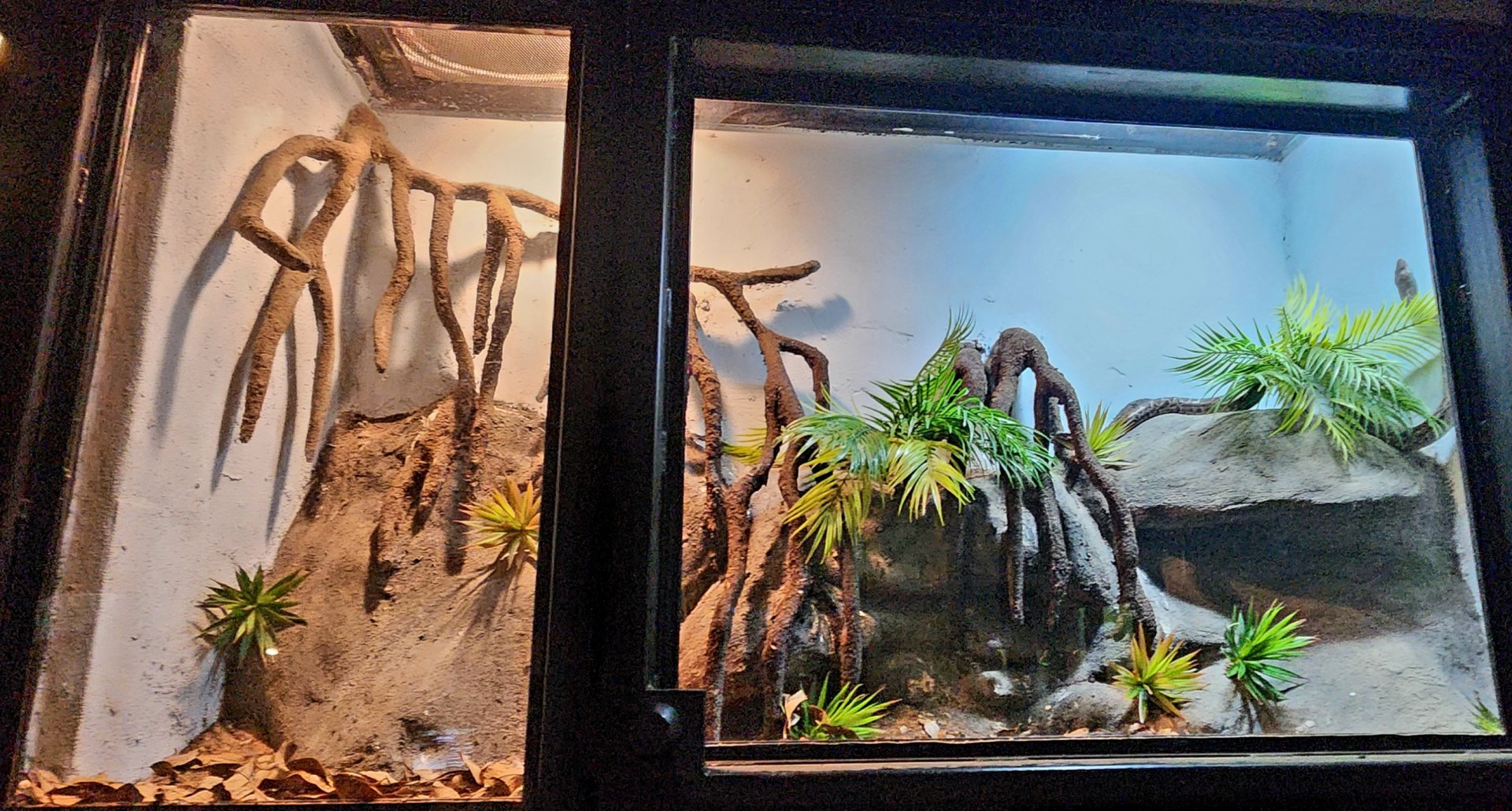 Reptilandia Reptile Lagoon - Cuban Boa Exhibit