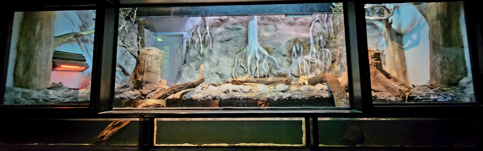 Reptilandia Reptile Lagoon - Cuban Exhibit