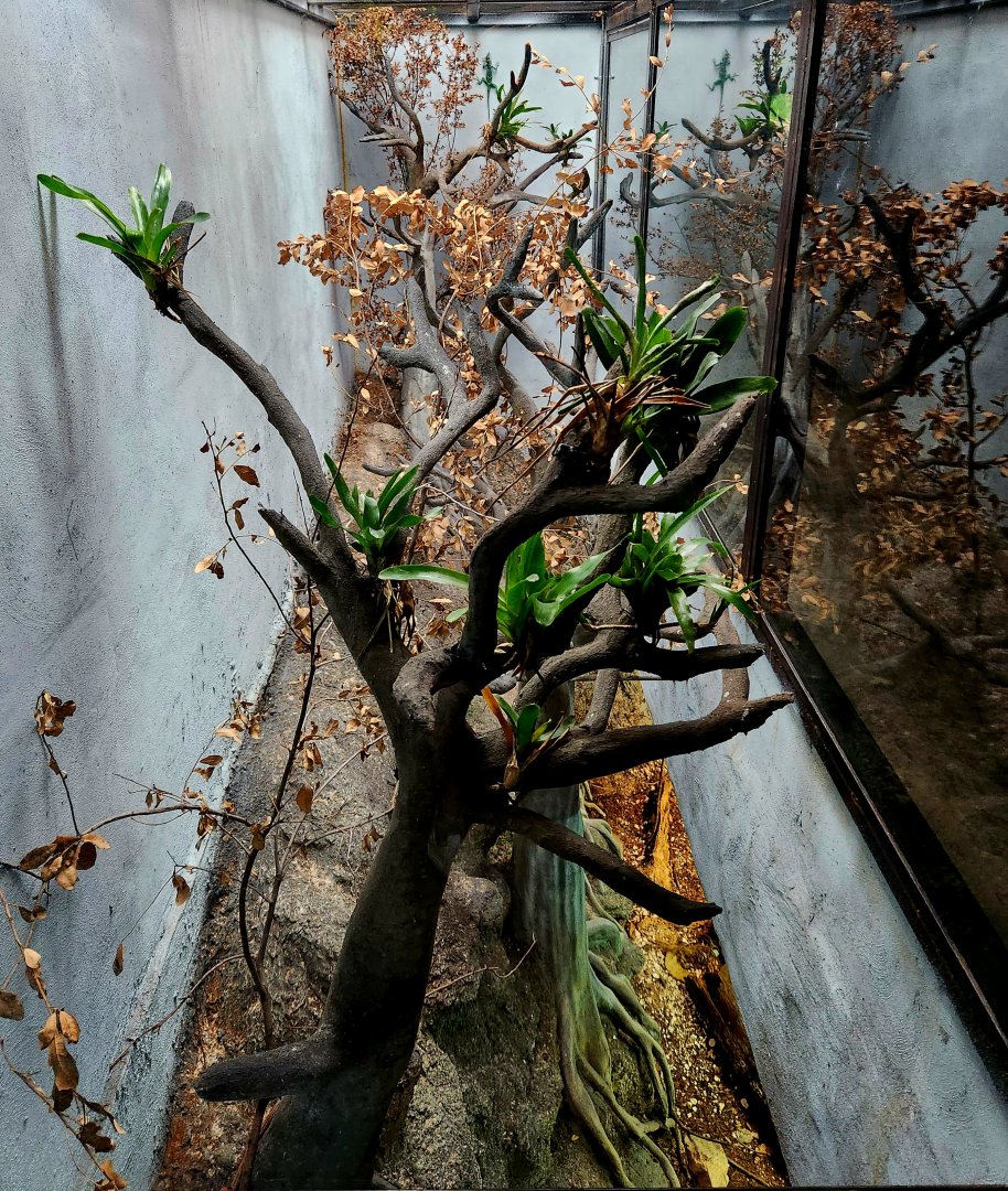 Reptilandia Reptile Lagoon - Cuban Exhibit