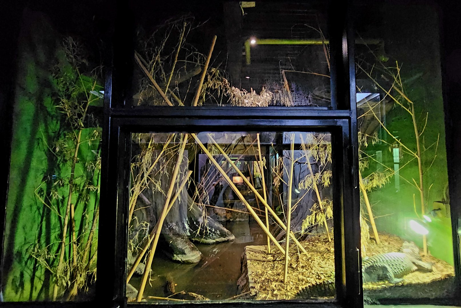 Reptilandia Reptile Lagoon - Dwarf Crocodile Exhibit