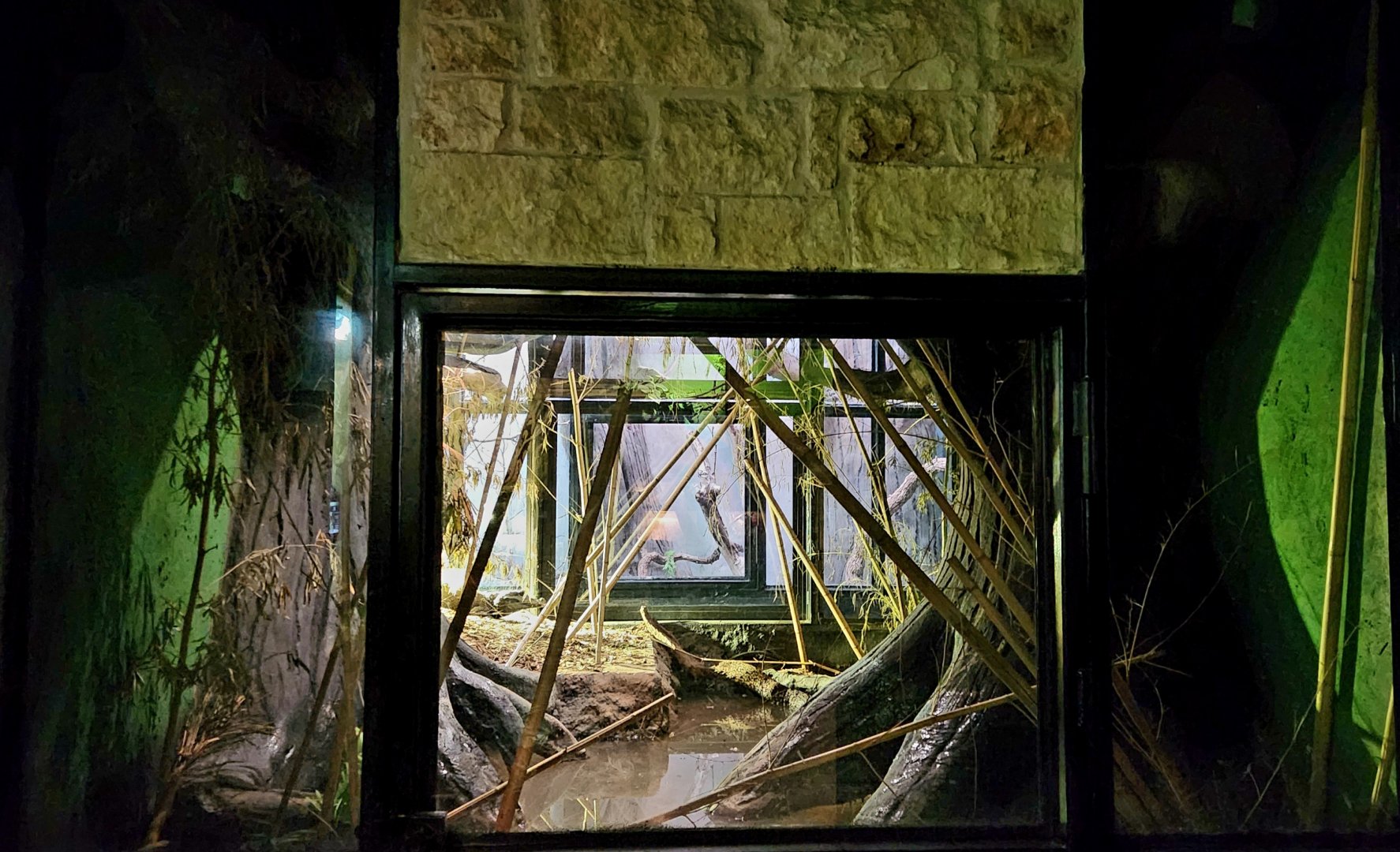 Reptilandia Reptile Lagoon - Dwarf Crocodile Exhibit