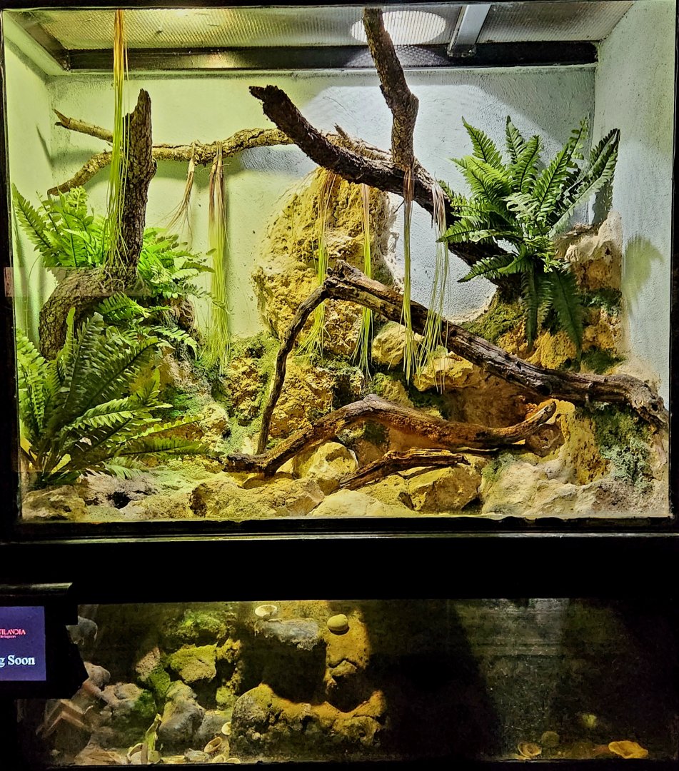 Reptilandia Reptile Lagoon - Empty Entrance Exhibit #1
