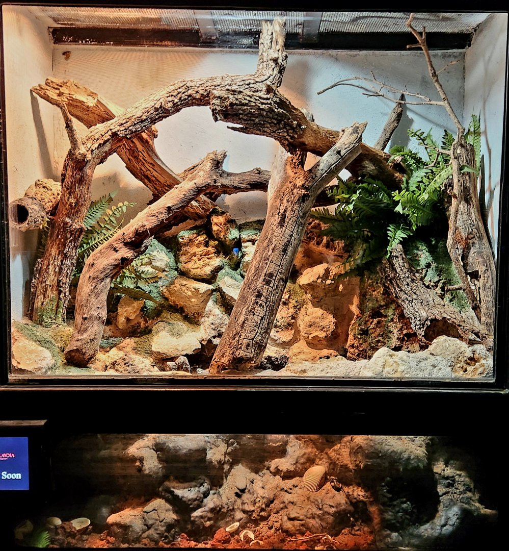 Reptilandia Reptile Lagoon - Empty Entrance Exhibit #2