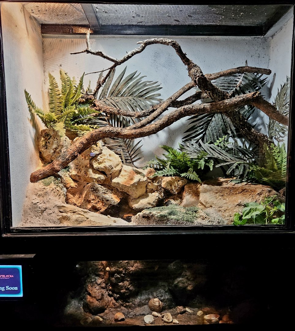 Reptilandia Reptile Lagoon - Empty Entrance Exhibit #3