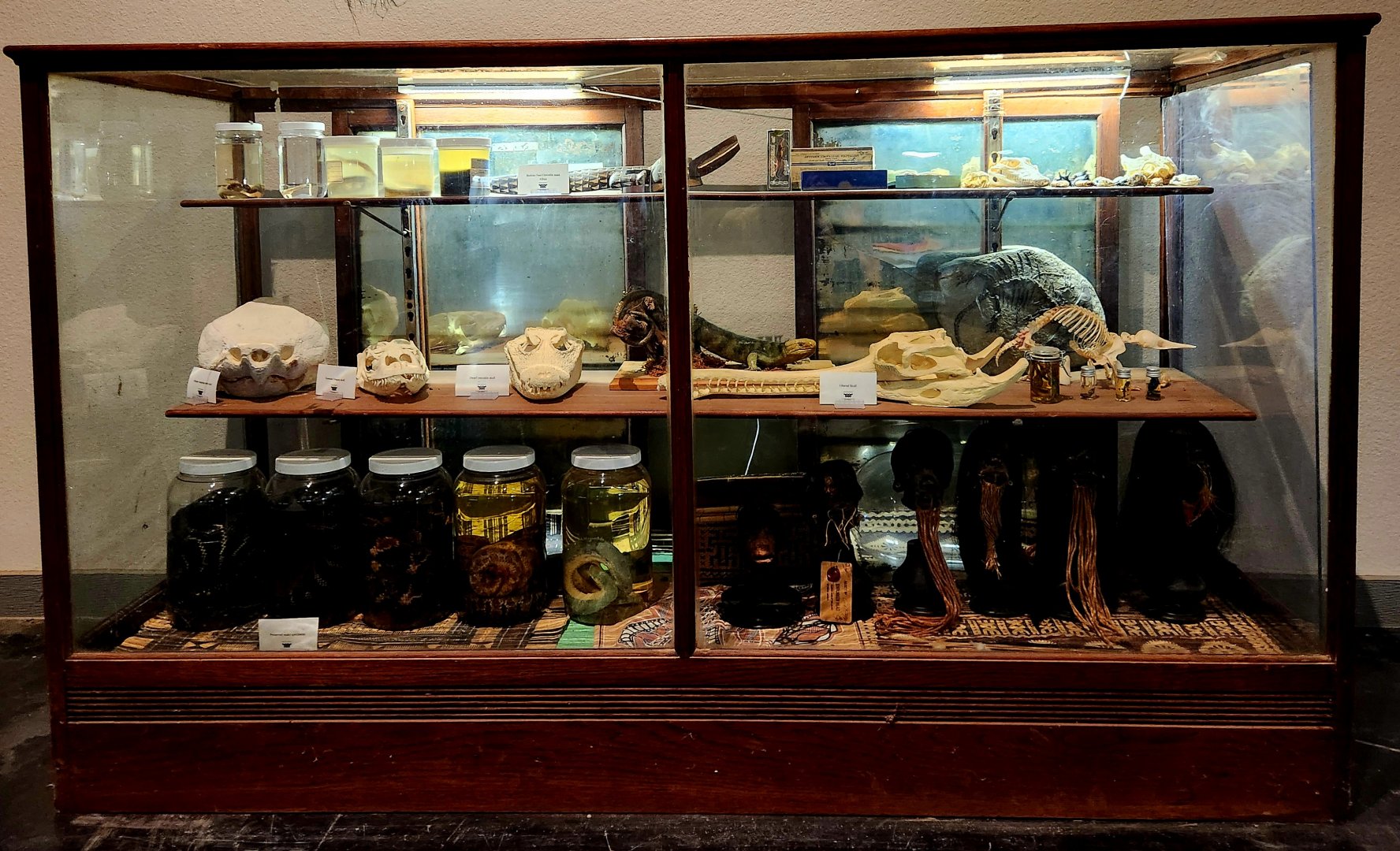 Reptilandia Reptile Lagoon - Ethnographic/Zoological Museum