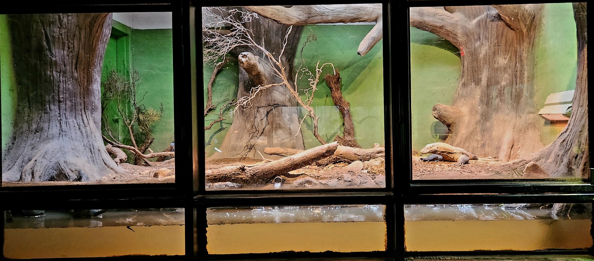 Reptilandia Reptile Lagoon - Exhibit