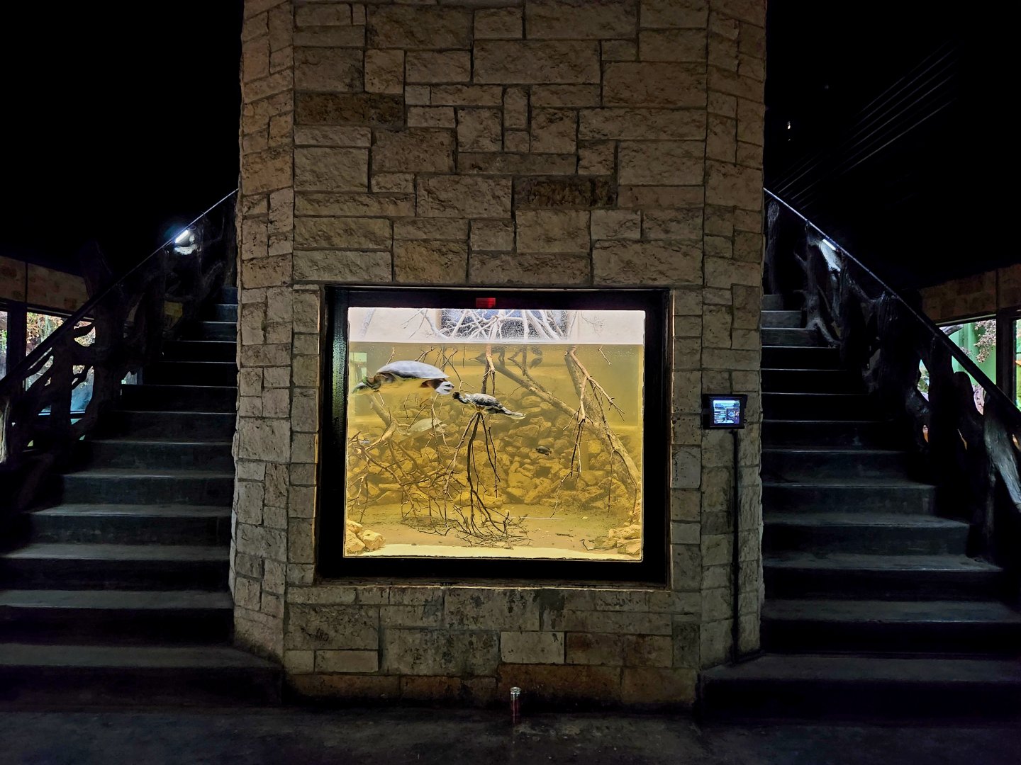 Reptilandia Reptile Lagoon - Fly River Turtle Exhibit