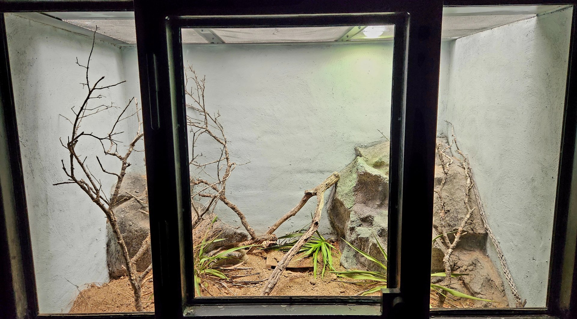 Reptilandia Reptile Lagoon - Gila Monster Exhibit