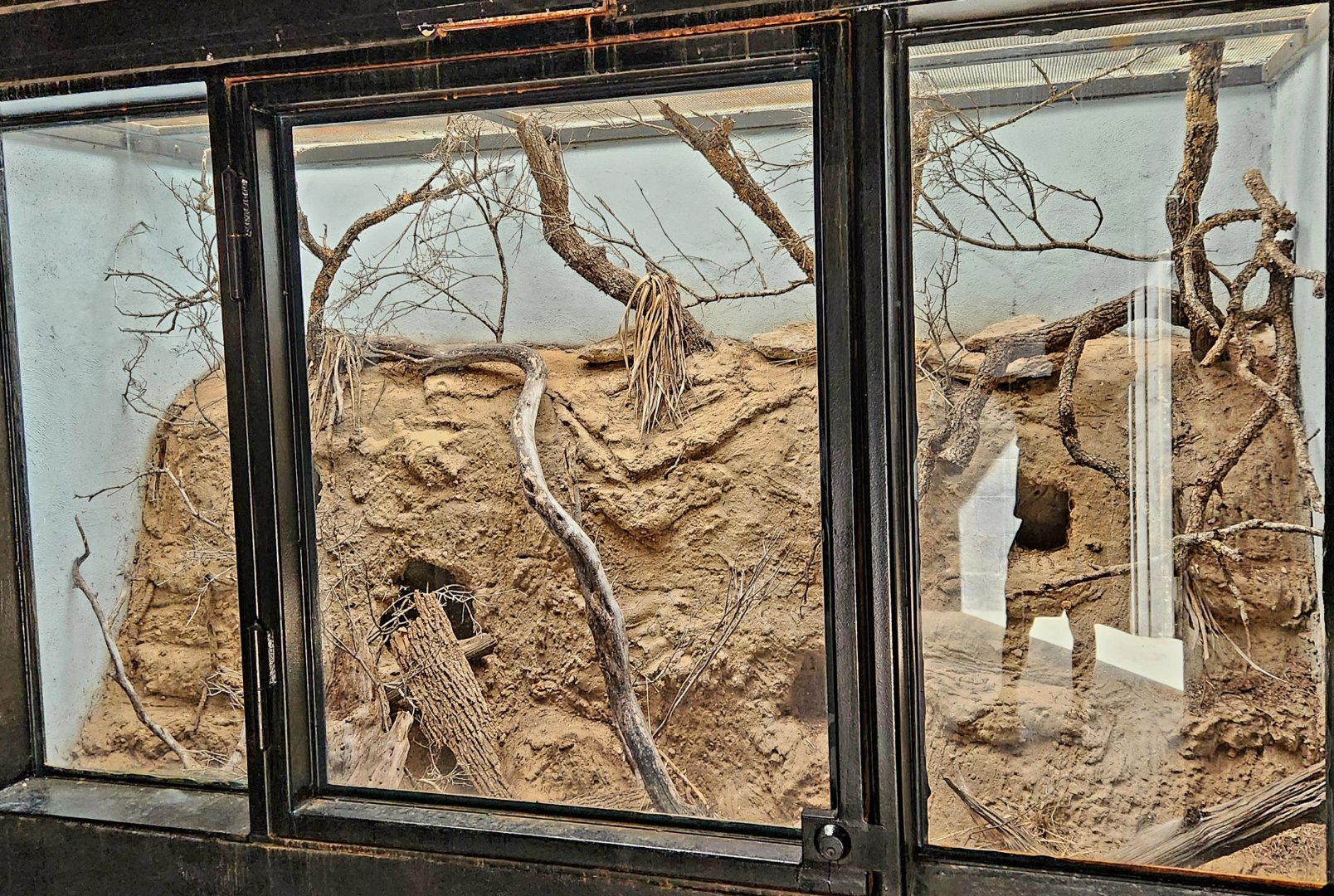 Reptilandia Reptile Lagoon - Guatemalan Beaded Lizard Exhibit