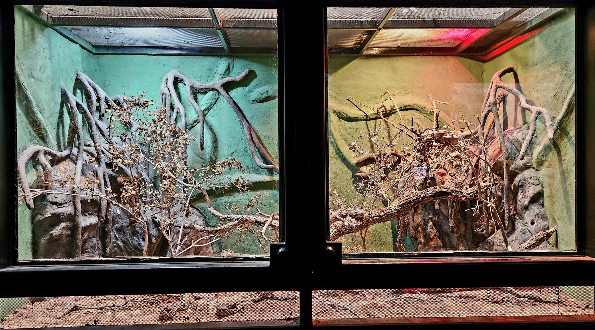 Reptilandia Reptile Lagoon - Hog Island Boa Exhibit