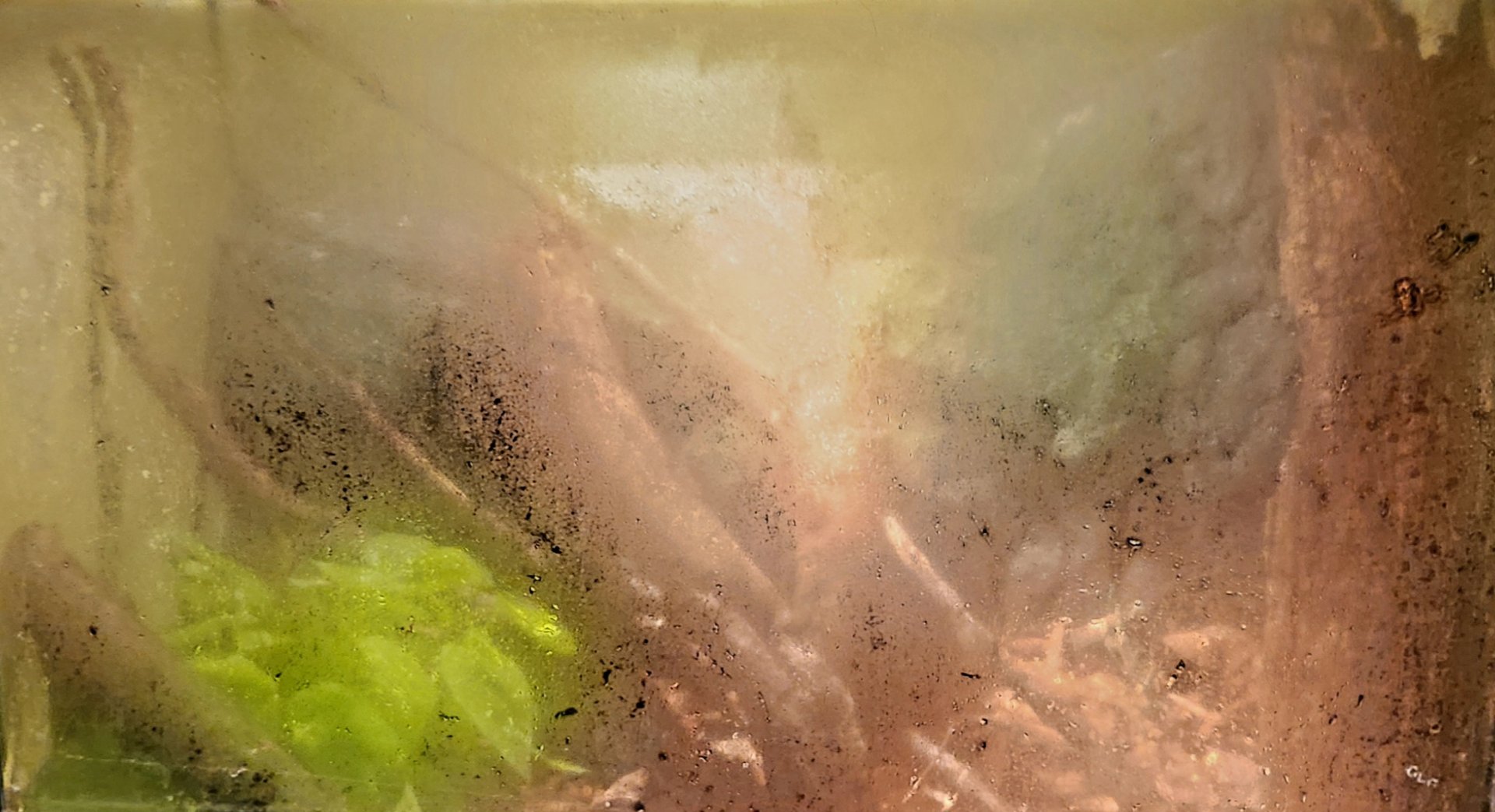 Reptilandia Reptile Lagoon - Jamaican Boa Exhibit