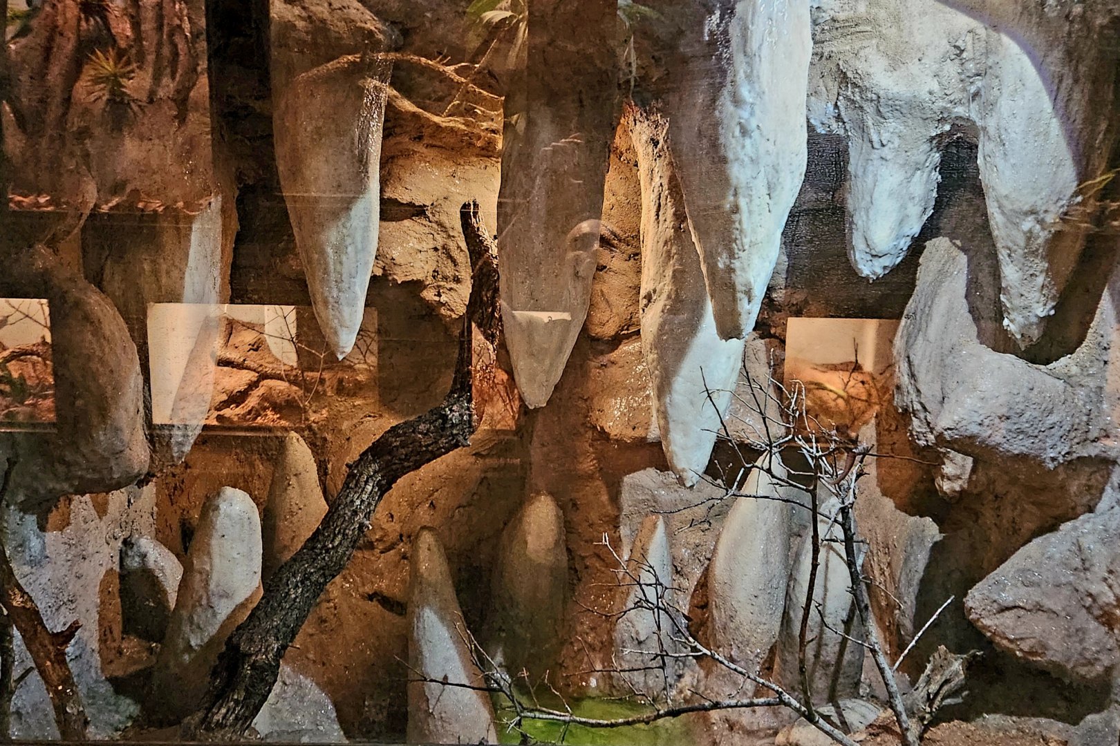 Reptilandia Reptile Lagoon - Latin American Cave Exhibit