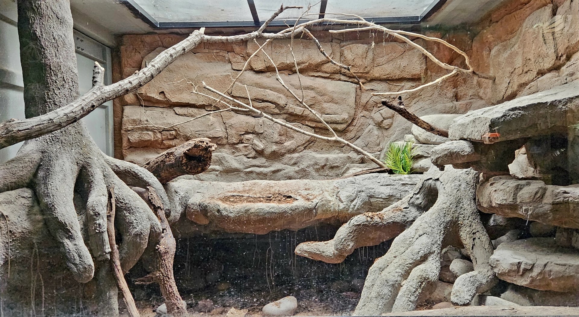 Reptilandia Reptile Lagoon - Madagascar Ground Boa Exhibit