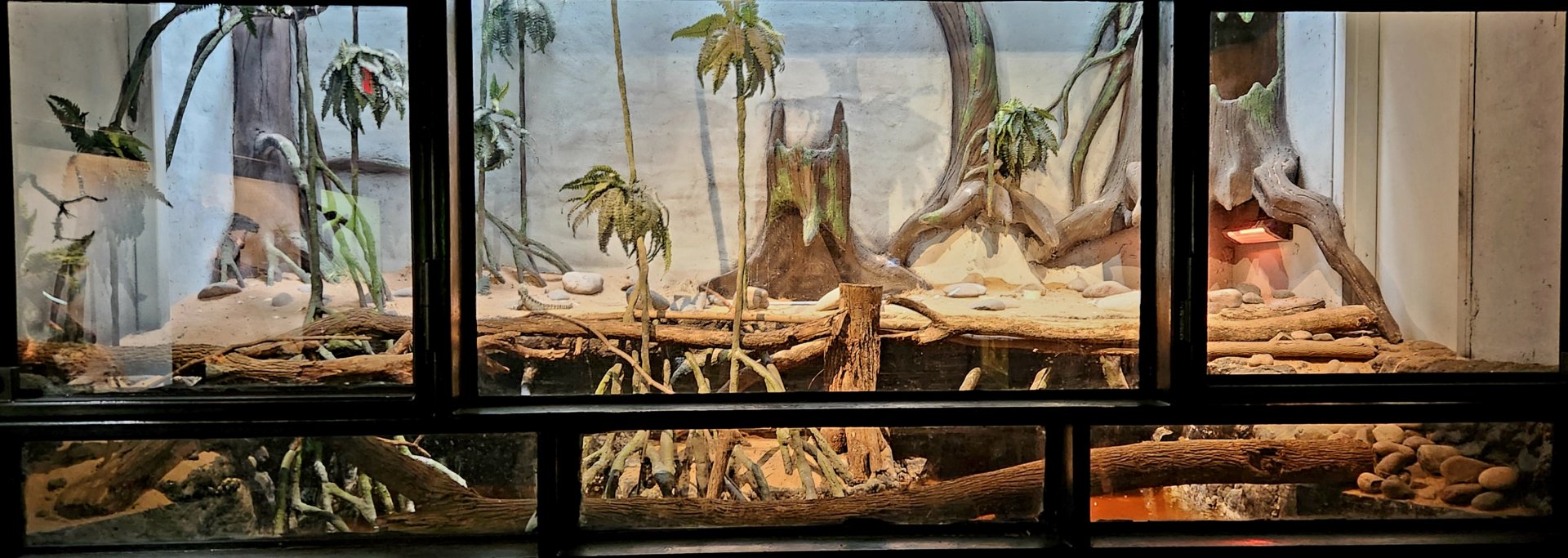 Reptilandia Reptile Lagoon - Northeast Australian Exhibit