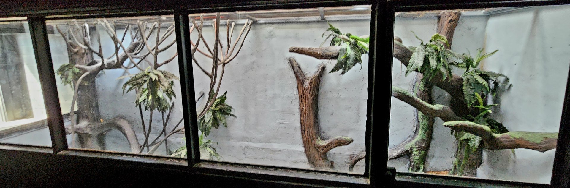 Reptilandia Reptile Lagoon - Northeast Australian Exhibit