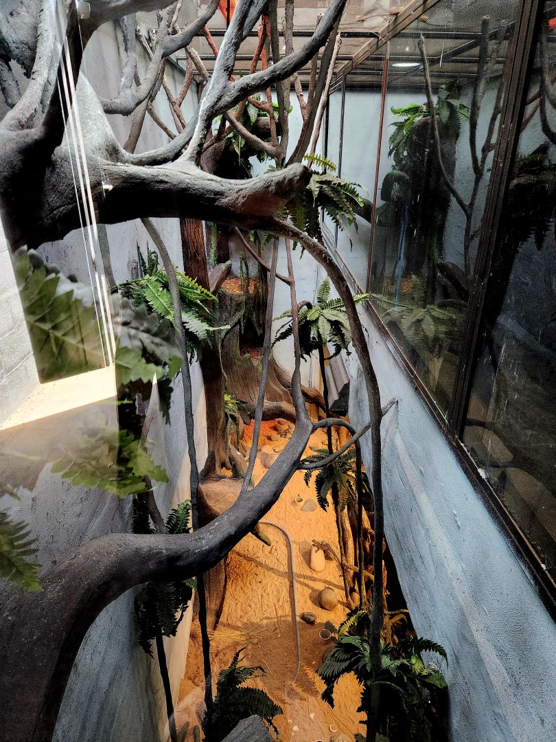 Reptilandia Reptile Lagoon - Northeast Australian Exhibit