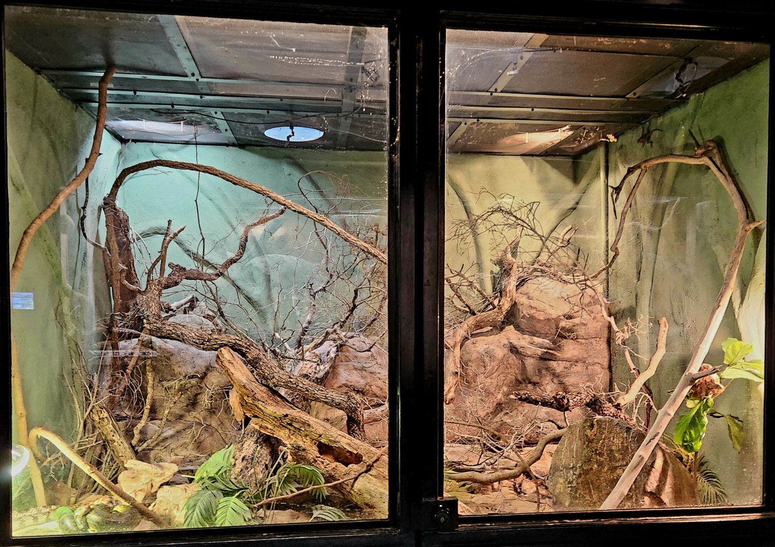 Reptilandia Reptile Lagoon - Pantanal Exhibit