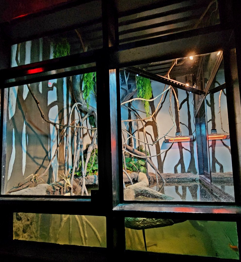 Reptilandia Reptile Lagoon - Rio Orinoco Exhibit