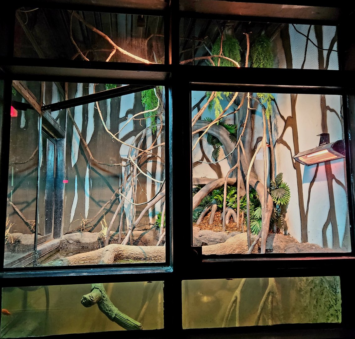 Reptilandia Reptile Lagoon - Rio Orinoco Exhibit