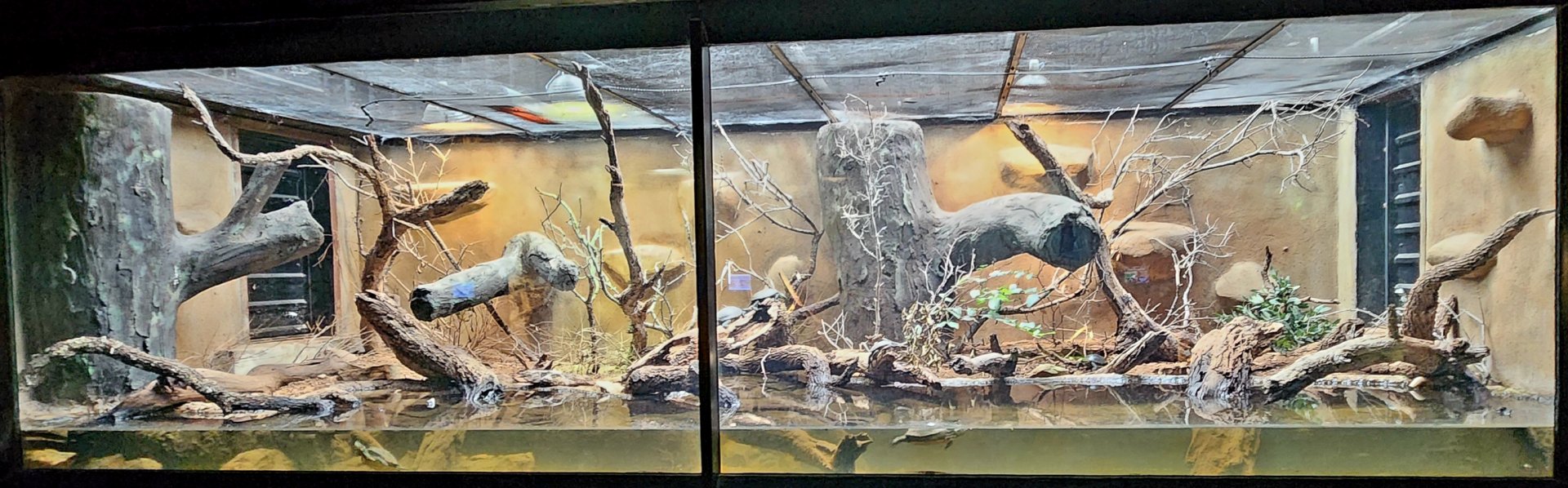 Reptilandia Reptile Lagoon - South-Central Europe Exhibit