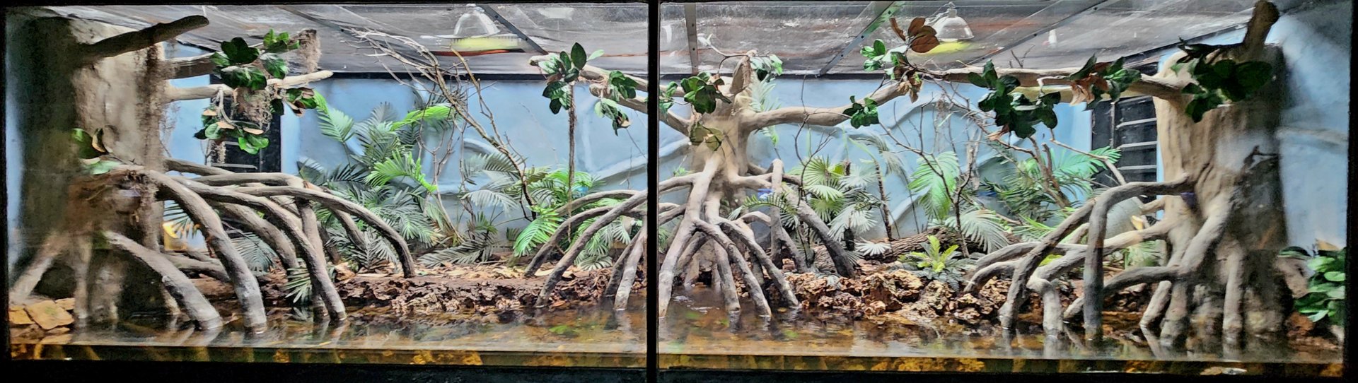 Reptilandia Reptile Lagoon - South Florida Exhibit