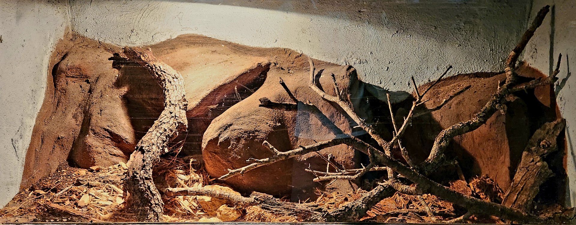 Reptilandia Reptile Lagoon - Spotted Python Exhibit