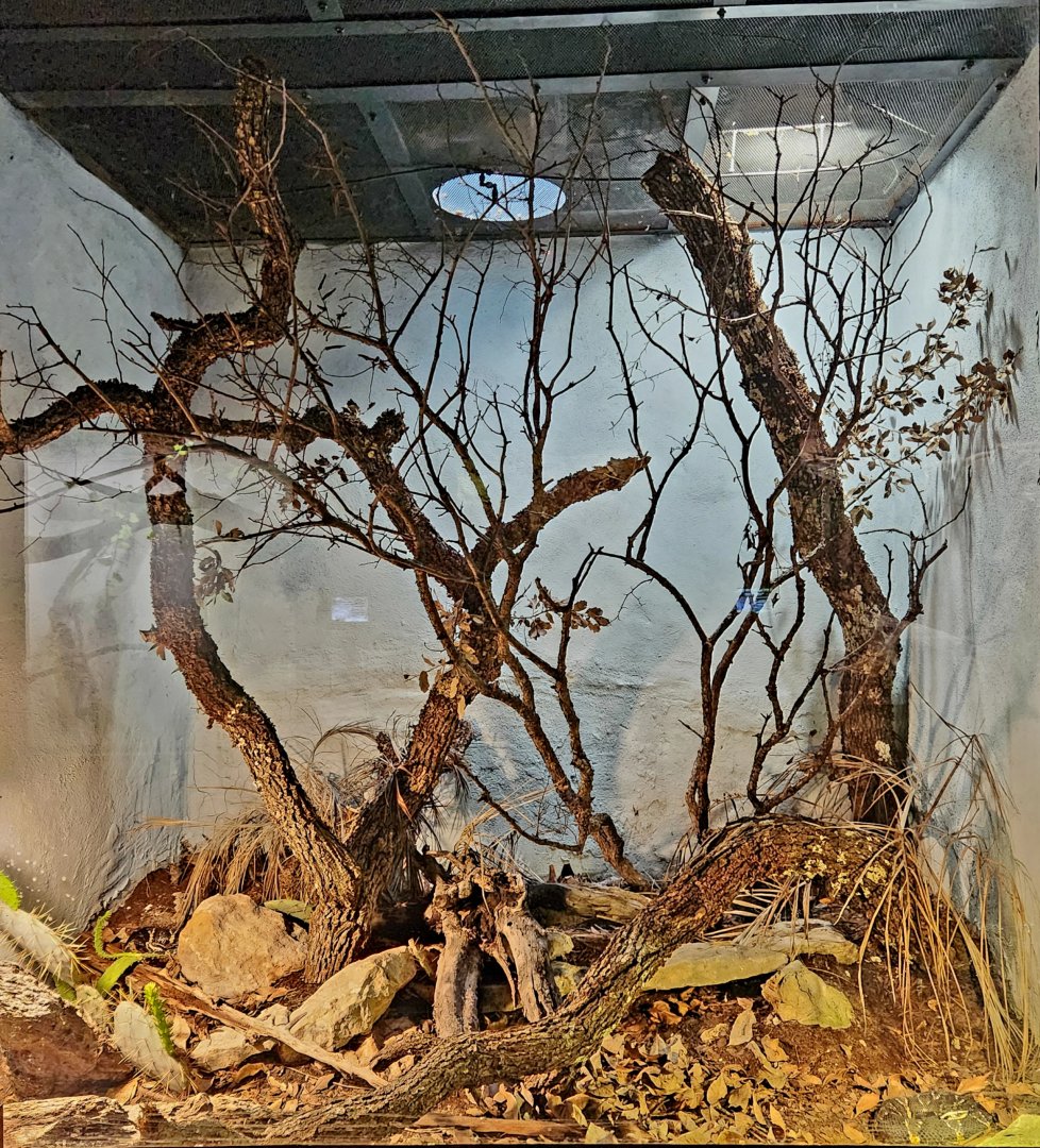 Reptilandia Reptile Lagoon - Taylor's Cantil Exhibit
