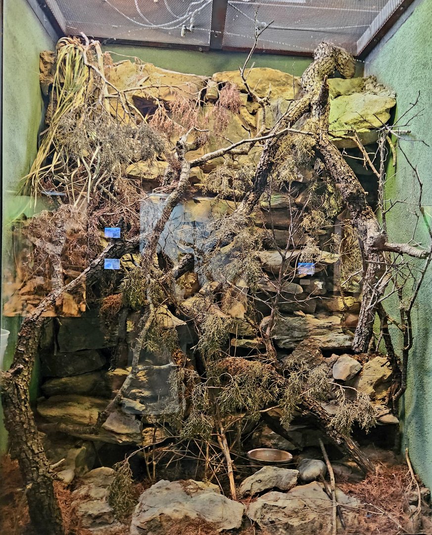 Reptilandia Reptile Lagoon - Texas Alligator Lizard Exhibit