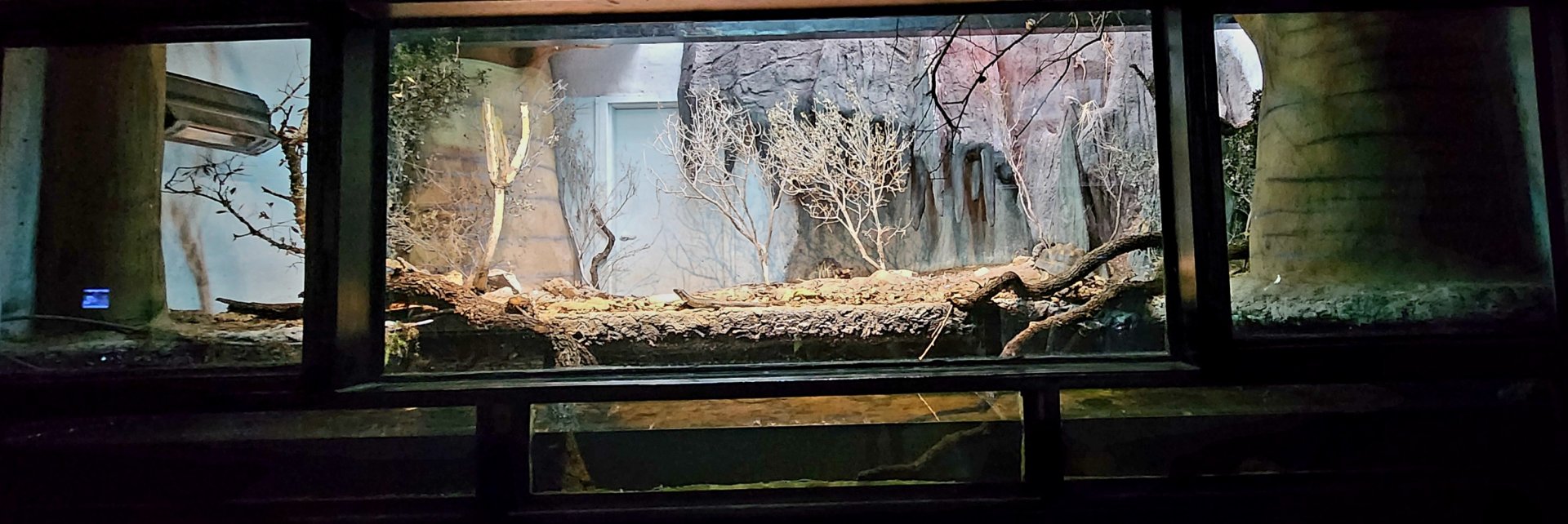 Reptilandia Reptile Lagoon - Tsingy Peaks Exhibit