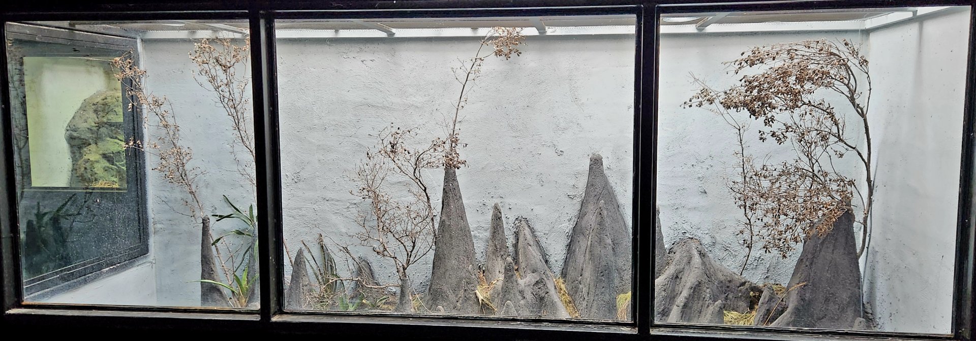 Reptilandia Reptile Lagoon - Tsingy Peaks Exhibit