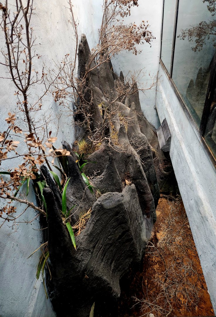 Reptilandia Reptile Lagoon - Tsingy Peaks Exhibit