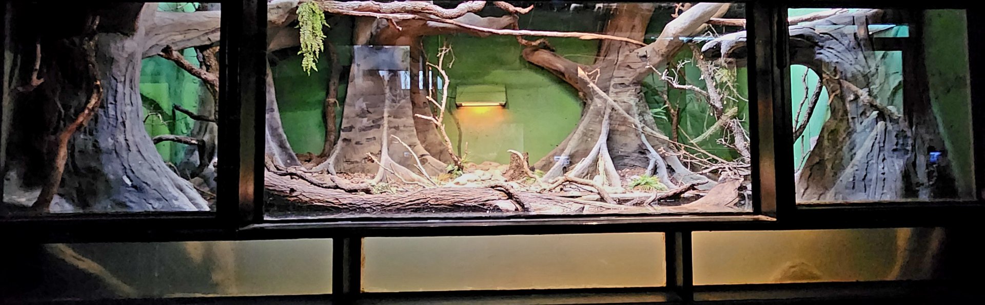 Reptilandia Reptile Lagoon - West African Exhibit