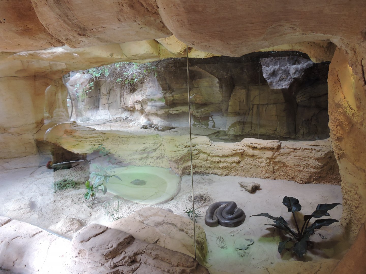 Reptilarium - immersion attempt?