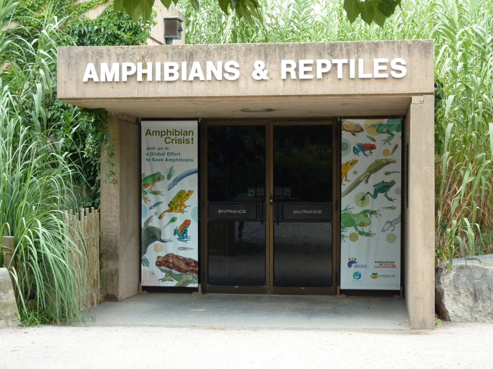 Reptile + Amphibian Building