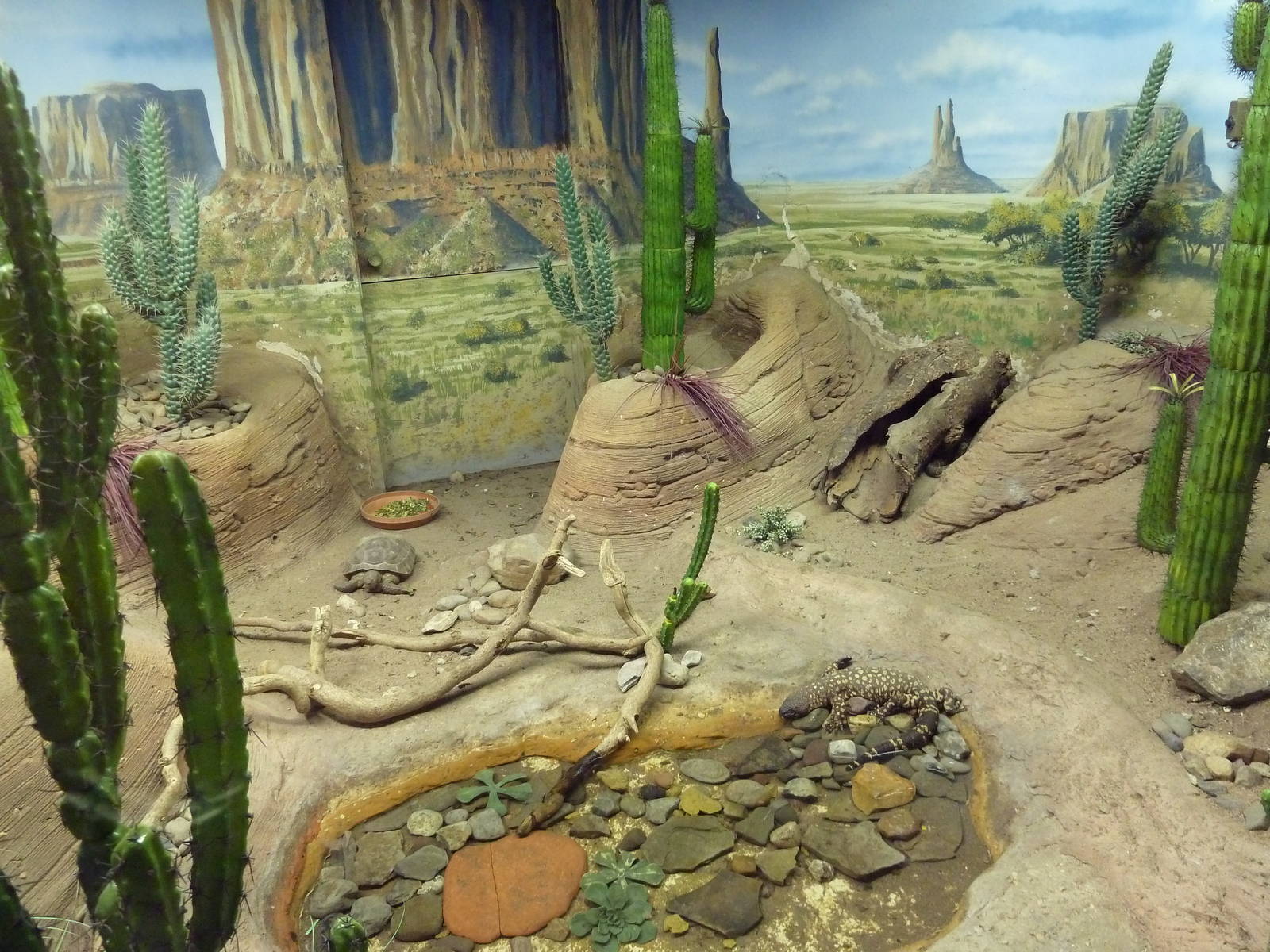 Reptile + Amphibian House - Mexican Beaded Lizard/Desert Tortoise Exhibit